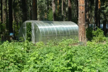 Фото клиники Душепопечительский Православный центр реабилитации  во имя Святителя Иннокентия Иркутского для пострадавших от наркомании, алкоголизма и других видов зависимостей