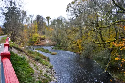Фото клиники Реабилитационный центр "Ручей"