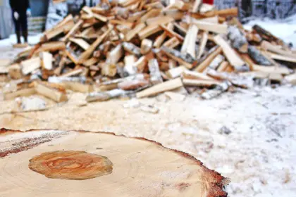 Фото клиники Реабилитационный центр «Подвижник» (ранее —  «Обитель») при Духовно-просветительском центре «Петропавловский»