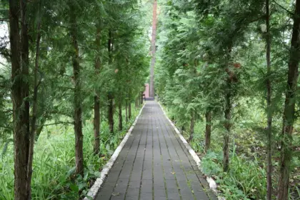 Фото клиники МНПЦ наркологии ДЗМ, Реабилитационный центр (Ступино)