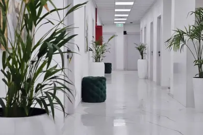 Elysium Rehabilitation Center, _Другая страна — фото 4