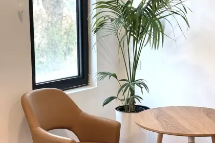 Elysium Rehabilitation Center, _Другая страна — фото 3