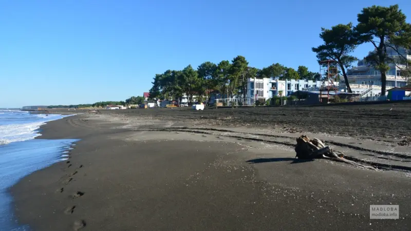 Фото к записи